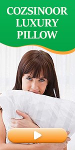 Pillows for Sleeping (2-Pack)- Luxury Down Alternative Pillow Breathable Premium Quality Cover